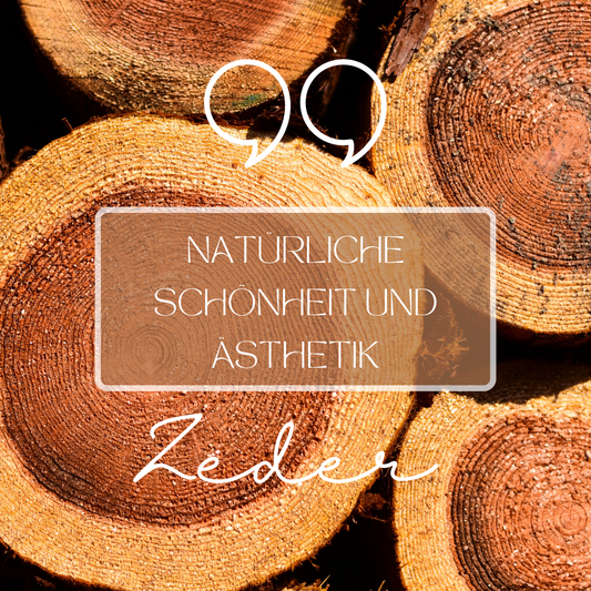 Die Einzigartigkeit der sibirischen Zeder: Warum sie das beste Material für Ihre Sauna ist